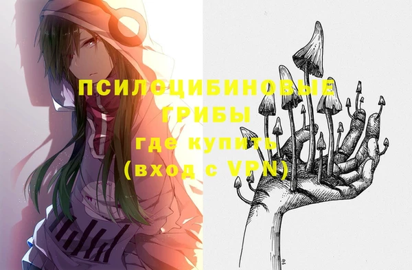 ECSTASY Аркадак