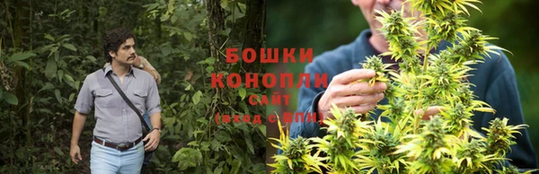 ECSTASY Аркадак